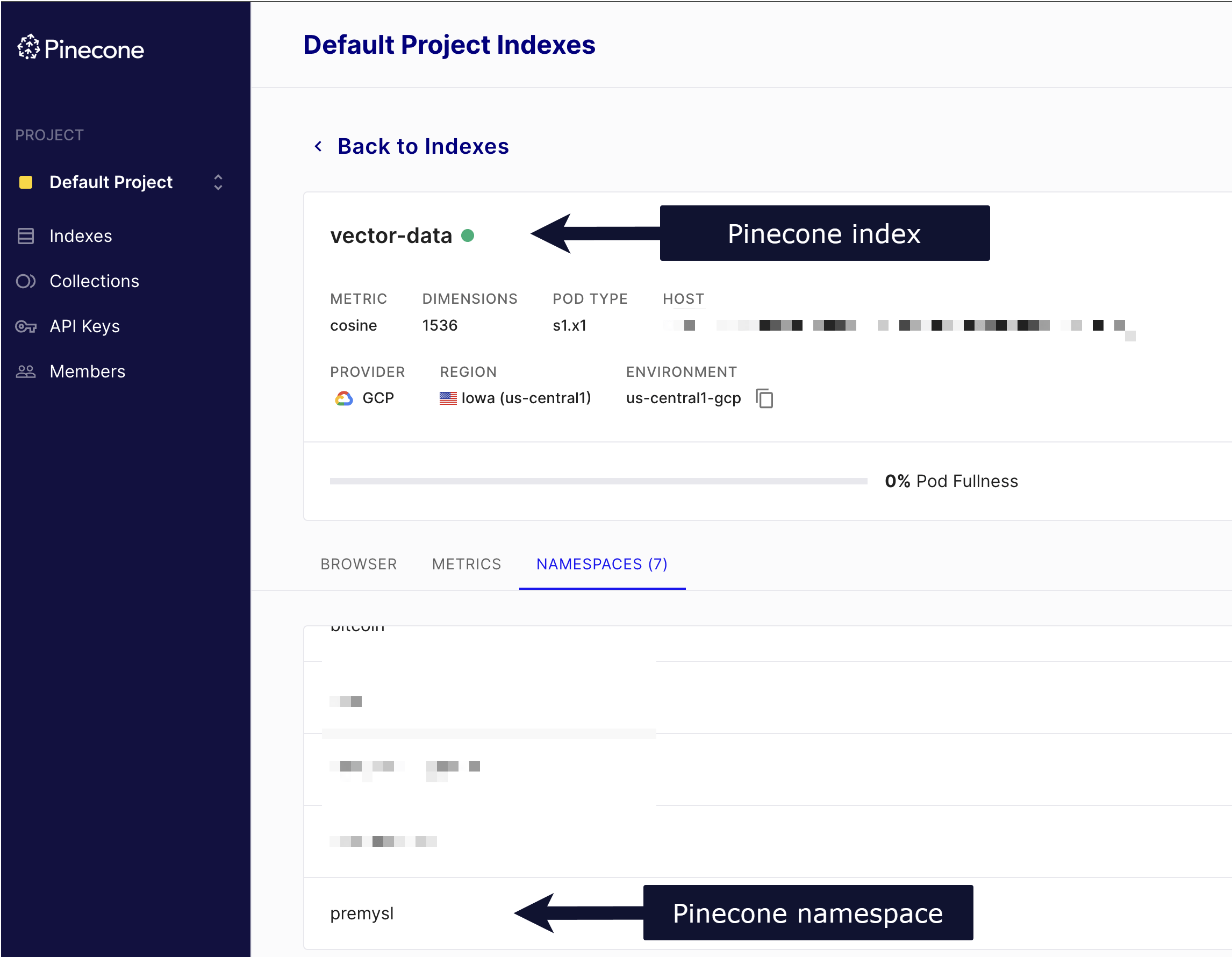 Screenshot of a Pinecone account, with the Pinecone index labelled